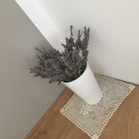 Popek Appartement Opatija